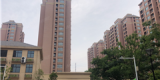 ba79942b-a31a-4ee1-8fce-c1dfa881e00e.jpg