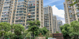 5ed60a74-be59-419f-bca5-7175e0922ef1.jpg